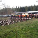 www.jagd-erlebnis.de