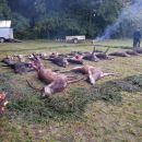 www.jagd-erlebnis.de
