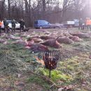 www.jagd-erlebnis.de