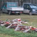 www.jagd-erlebnis.de