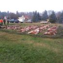 www.jagd-erlebnis.de