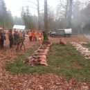 www.jagd-erlebnis.de
