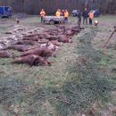 www.jagd-erlebnis.de
