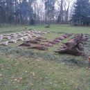 www.jagd-erlebnis.de