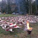 www.jagd-erlebnis.de
