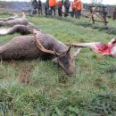 www.jagd-erlebnis.de