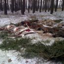 www.jagd-erlebnis.de