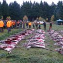 www.jagd-erlebnis.de