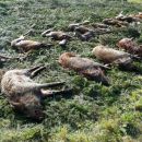 www.jagd-erlebnis.de