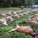 www.jagd-erlebnis.de