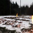www.jagd-erlebnis.de