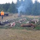 www.jagd-erlebnis.de