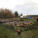 www.jagd-erlebnis.de