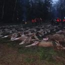www.jagd-erlebnis.de