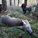 Jagd-Erlebnis 2019 (3).jpg