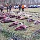 Jagd-Erlebnis 2018