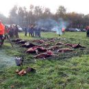 www.jagd-erlebnis.de