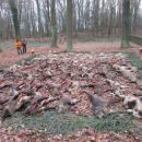 www.jagd-erlebnis.de