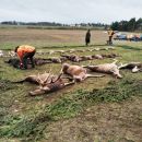 Jagd-Erlebnis 2018