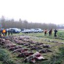 www.jagd-erlebnis.de