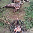 Jagd-Erlebnis 2018