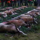 www.jagd-erlebnis.de