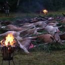 www.jagd-erlebnis.de