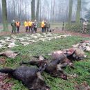 www.jagd-erlebnis.de