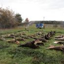 www.jagd-erlebnis.de