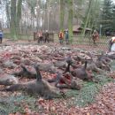 www.jagd-erlebnis.de