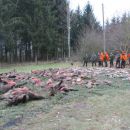 www.jagd-erlebnis.de