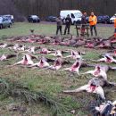 Jagd-Erlebnis 2018