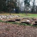 Jagd-Erlebnis 2018