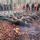 www.jagd-erlebnis.de