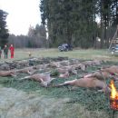 www.jagd-erlebnis.de