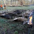 Jagd-Erlebnis 2019 (5).jpg