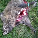 www.jagd-erlebnis.de