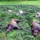 www.jagd-erlebnis.de