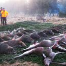 www.jagd-erlebnis.de