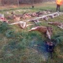 www.jagd-erlebnis.de