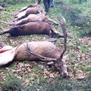 www.jagd-erlebnis.de