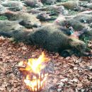 www.jagd-erlebnis.de
