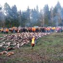 www.jagd-erlebnis.de
