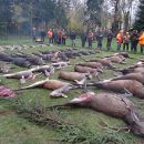 www.jagd-erlebnis.de
