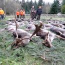 www.jagd-erlebnis.de