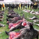 www.jagd-erlebnis.de