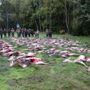 www.jagd-erlebnis.de