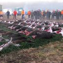 www.jagd-erlebnis.de