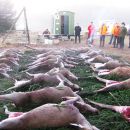 www.jagd-erlebnis.de