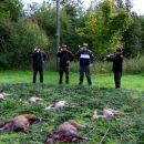 www.jagd-erlebnis.de